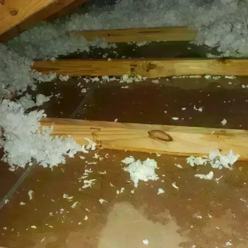 Attic Water Damage in Fairfield County, CT